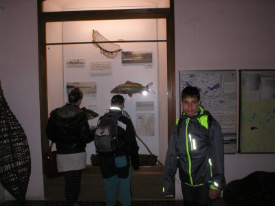 pa180004.jpg