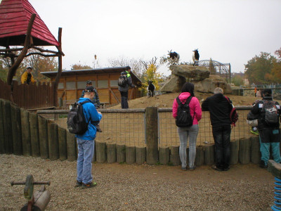 pa180098.jpg