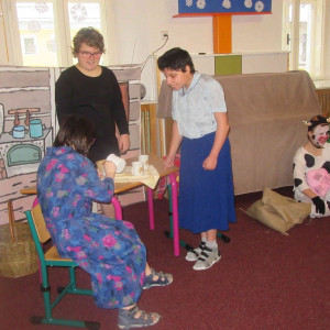 o dvanácti měsíčkách